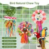 LOPERDEVE Bird Toys, 3PCS Natural Corn Cob Bird chew Toys Bird Foraging Toys for Small Medium Parrots, Conures, Cockatiel, Lovebird Cockatiel