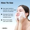 +WIS+ Gentle Face Wash with Skin-Friendly Amino Acids, Hydrating Facial Cleanser With Hyaluronic Acid, Daily Facial Cleansing Wash For Dry Skin To Normal Skin, Safe on Sensitive Skin (3.52 fl.oz)