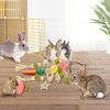 Jorewood Rabbit Chew Toys Bunny Cage Hanging Toy and Treats Rattan Ring with Snacks for Rodent Pets Teeth Healthy