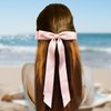 Eggdax Hair Bows for Women, Hair Ribbon Hair Bow Clips Hair Ribbons With Long Tassel Tail, Bowknot Hair Clips for Women Girls, Hair Barrettes with Bow Accessories