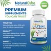 Natural Cure Labs Clean L-Lysine 600mg, 120 Capsules | Vegan, Non-GMO, & Gluten Free