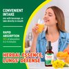 Mullein Leaf Extract for Lungs: Mullein Drops for Lungs