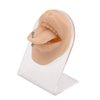 SimCoach Piercing Practice Body Parts, Tongue&Mouth Piercing Practice Model, 3D Flexible Silicone Mouth Simulation Model for Jewelry Display, Suturing Practice, Acupuncture Teaching Tool