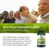 Swanson Pygeum - 120 Capsules, 400 mg Each - Herbal Supplement for Male Prostate Health, Bladder, and Urinary Tract Support (3 Pack)
