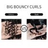ELIM Curly Wigs for Black Women Mixed Brown Short Kinky Curly Wigs for Women Big Curly Afro Soft Wig with Bangs Heat Resistant Natural Cute Synthetic Wig with Accessories Z014BB