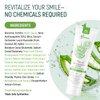 Natural Fluoride Free Toothpaste - Nano Hydroxyapatite, Remineralizing, Sensitive Teeth, Whitening & Zero Waste Tube - Dentist Recommended for Adult & Kids Oral Aloe Vera & Chamomile (Single, Aloe)