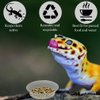 SunGrow Reusable Gecko Food & Water Cups, 100 Pcs, 0.5 Oz Recyclable Plastic Bowls, Fits Small Stands & Feeders, Durable & Easy to Clean, Ideal for Reptiles - in Resealable Bag