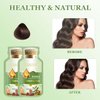 Bubble Plant Natural Botanical Hair Dye Shampoo - Plant-Based Chestnut Brown Hair Color, 20ml x 10 Packs/Box