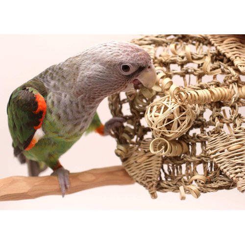 Heart Catcher - Small Parrot Activity Mat