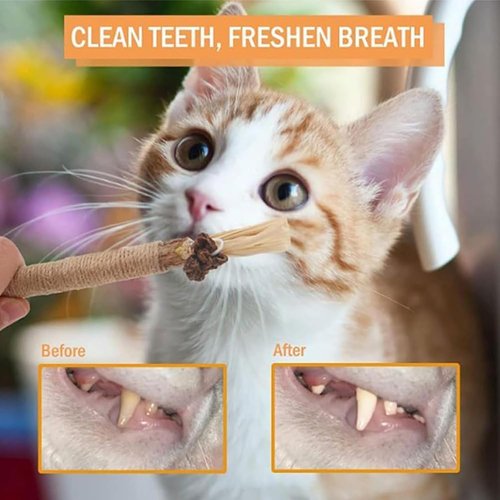 AMANGSCO 7 Packs Catnip Toys for Cats, Cat Chew Toy Silvervine Sticks for Cats, Avocado Catnip Balls Kitten Treats, Sisal Rope Cat Teething Toys, Cat Grass Teething Stick Kitten Toys