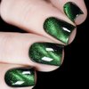Vishine 9D Cat Eye Green Gel Nail Polish with Magnet Galaxy Cateye Chameleon Nail Gel Polish Manicure Soak Off UV Gel DIY Salon Home 16ml