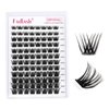 Lash Clusters DIY Eyelash Extensions 96 Clusters Lashes D Curl 0.07 Natural Individual Lash Extensions Mixed Tray False Eyelashes Soft & Strong Thin Band DIY at Home (F29-0.07D, 8-16mm)