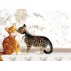 Tree-Free Greetings Happy Holidays Cards and Envelopes, Winter Card Set, 5 x 7 Inch Cards, Box Set of 10, Kitten Kiss, (HB93347)