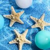 Syhood 4 Pcs Resin Starfish Hair Clip Mermaid Hair Accessories for Women Hairclip Mermaid Costume Jewelry