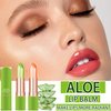 Fusang 2Pcs Aloe Vera Lipstick Color Changing Lipstick,Temperature Color Change Lip Gloss Balm Set Nutritious Long Lasting Moisturzing Magic Lipstick Lip Makeup for Women