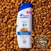 Head and Shoulders Dry Scalp Care with Almond Oil 2-in-1 Anti-Dandruff Paraben Free Shampoo and Conditioner 13.5 fl oz