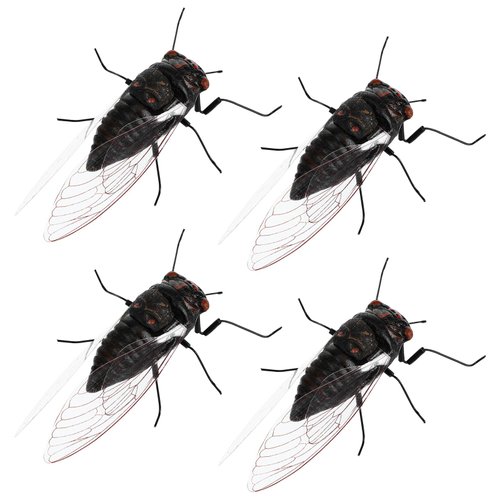 Abaodam 4pcs Cicada Model Early Educational Toys Realistic Animal Figures Cicada Figurines Insect Toy Educational Cicada Toy Plastic Model Toys for 15+ （Random Color Cicada Model）