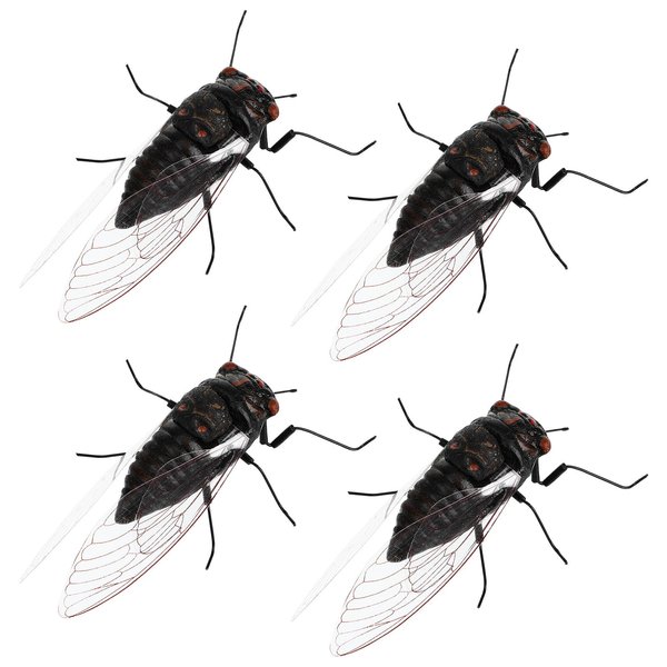 Abaodam 4pcs Cicada Model Early Educational Toys Realistic Animal Figures Cicada Figurines Insect Toy Educational Cicada Toy Plastic Model Toys for 15+ （Random Color Cicada Model）