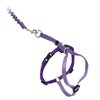 PetSafe Come with Me Kitty Harness and Bungee Leash, Harness for Cats, Medium, Lilac/Bright Purple