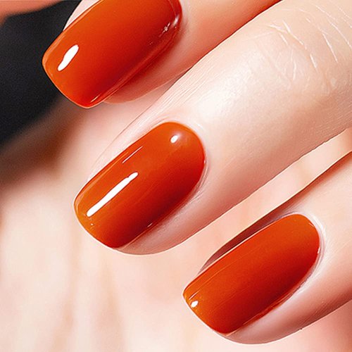 Vishine Gel Nail Polish 15ml, Fall Orange Pumpkin Color Soak Off UV LED Long-Lasting Nail Gel Pol...