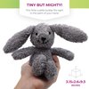 Thermal-Aid Zoo - Mini Microwavable Stuffed Animal - Plush Toy and Hot Cold Pack - Baxter The Bunny - 3.15 x 2.6 x 9.3 in
