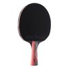 JOOLA Infinity Edge - Tournament Performance Ping Pong Paddle w/ Carbon Pro Technology - Black Rubber on Both Sides - Competition Ready - Table Tennis Racket for Advanced Training - Designed for Speed