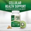 PQQ Supplement 20mg | Mitochondrial Biogenesis & Energy Optimizer With CoQ10 & Vitamin B12 | Supports Brain Health & Mitochondria Production | Ultra PQQ Formula | Vegan, Gluten-Free | 60 Capsules