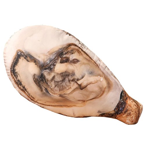 Whlo4U Simulation Oysters Plush Pillow, Oysters Stuffed Throw Pillow，Home Sofa Beach Decoration, Birthday Christmas Funny Gift for Kids Adults
