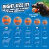 Chuckit! Ultra Ball Dog Toy - Size XXL - For Dogs 100+ lbs - Made from Durable Rubber - Super Bouncy - Floats in Water - 4-inch Diameter - Pack of 1