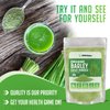 XPRS Nutra Organic Barley Grass Powder - 4 Ounce Premium Barley Powder Rich in Antioxidants, Amino Acids and Protein - Barley Green Superfood for Immunity