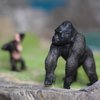 Gemini&Genius Gorilla Toys for Kids, Safari Animal Toys Gorilla with Baby Toy Figurines, Wildlife World Action Figure, Backyards Garden Flowerpot Room Decoration, Cup Cake Toppers for Kids