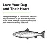 Terry Naturally Animal Health Intelligent Omega - 60 Soft Chews - Omega 3 from Salmon for Dogs - Promotes Brain & Eye Health - 60 Servings