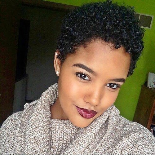 Sirukou Hair Short Curly Afro Wigs Short Kinky Curly Hair Synthetic Wigs For Black Women Natural Short Hair Wig Short Kinky Curly Afro Wigs For Women Heat Resistant Wigs (D-1116A)