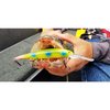 BANDIT LURES Multi-Species Minnow Jerkbait Glowing Fishing Lure, Fishing Accessories, Excellent for Bass and Walleye, 4 5/8", 3/4 oz, Loan Shark