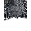 Psaris Productions New York City Central Park Poet's Walk. NY Christmas Cards Boxed Set of 12 Holiday Cards And 12 Envelopes. Made In USA