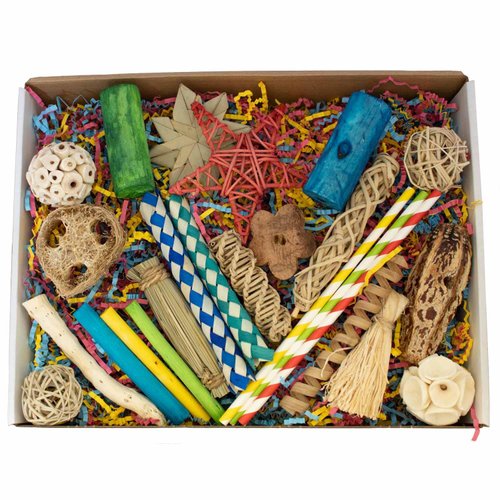 Super Bird Creations SB1237 Foraging Fun Box Bird Toys - Activity Kit with 30+ Pieces Bird-Safe Toys - Enrichment Toys for Ringnecks, Medium Conures, Canary and Parrots - Ideal for Medium Bird Size