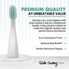 Dale Audrey Ayurvedic Quick Sonic Toothbrush Head Replacement for Adults | DailyClean Toothbrush | (2 Count)