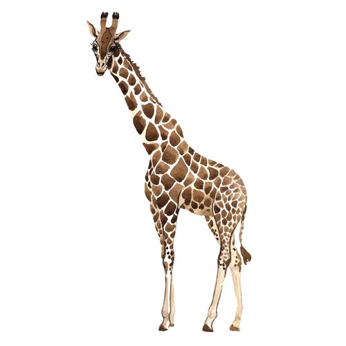 Dopetattoo 6 sheets Temporary Tattoos for Men and Women Animals Exotic Giraffe Wild Animal in a Watercolor Style Isolated for Men Temporary tattoo for Women Neck Arm Chest for Woman