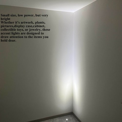 Taysing LED Spot Light Indoor Picture Lights Art Lights Accent Lights Little Spotlight Up Lights for Painting Picture Plants Jewelry Showcase Model Display Shelves Under Cabinet (Cold White-2 Pack)