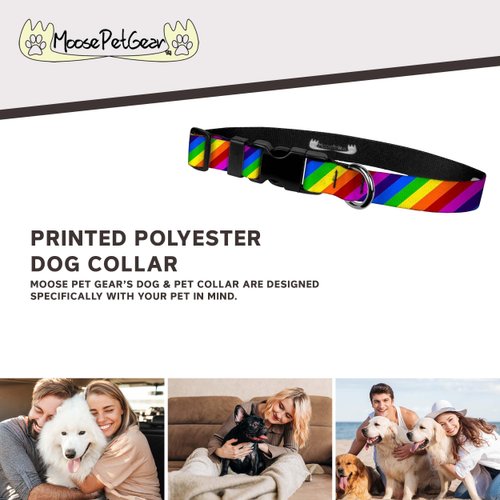 Moose Pet Wear Dog Collar - Patterned Adjustable Pet Collars, Made in the USA - 3/4 Inch Wide, Medium, Rainbow Stripe