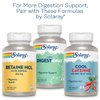 SOLARAY Organically Grown Ginger Root 540mg Healthy Cardiovascular, Digestive, Joint & Menstrual Cycle Support Vegan & Non-GMO 100 VegCaps