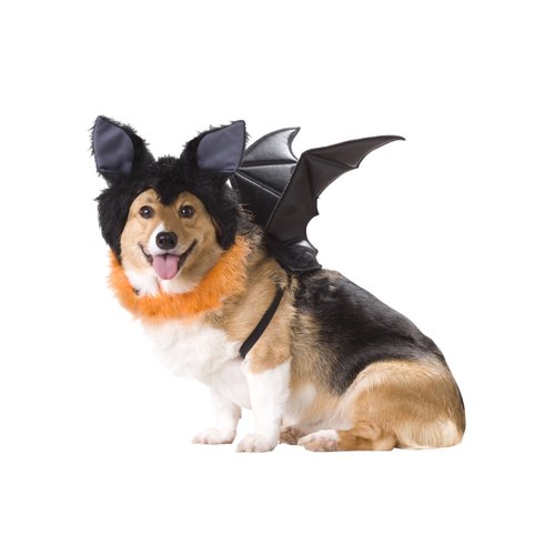 California Costumes Pet Triceratops Dog Costume