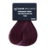 Ion True Tones for Dark Hair Permanent Crème Hair Color Violet Violet