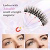 Magnetic Eyelashes NO Glue Magnetic Eyelashes Natural Look False Eyelash without Eyeliner Reusable Fake Eyelashes with Applicator Upgrade Eyelashes Kit (Mixed)