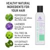 AWEGANICS Lavender Mint Hair Shampoo - Inspiring Natural Aromatherapy Invigorating Purple Shampoos - Hydrating, Cleansing, Moisturizing - Paraben-Free, Cruelty-Free, Peppermint, Tea Tree