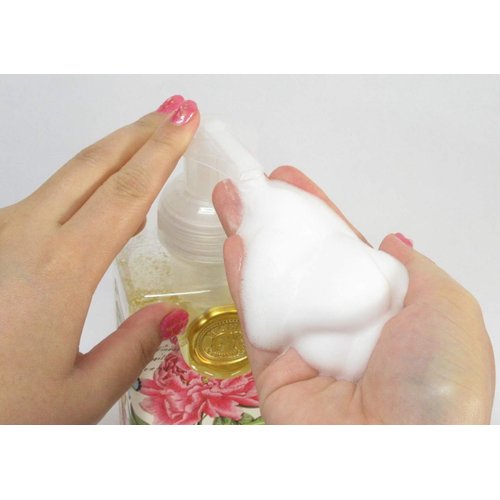 Michel Design Works Foaming Hand Soap, Country Life