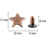 100 Sets 12MM Antique Copper Star Rivets for Leather Star Rivet Studs Garment Rivets Leather Rivets Studs and Spikes for Leather Craft Clothing Bags Belts Dog Collar Shoes DIY Accessories 15/32 Inch
