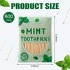 600 Pcs Mint Toothpicks Bulk Flavor Menthol Toothpicks Wood Flavored Toothpicks for Adults Natural Wooden Tooth Pick for Humans Teeth Oral Dental Health