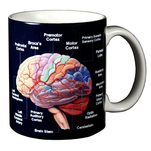 WILD COTTON Brain 11 Ounce Ceramic Coffee Mug (WC462M)