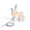 Bigjigs Toys FSC Certified Bunny & Baby Pull Along Toy - Eco-Friendly Rabbit Pull Along with Cord & Baby Bunny Push-Along, Quality Pull Along Toys for 1 Year Olds, Wooden Baby Toys